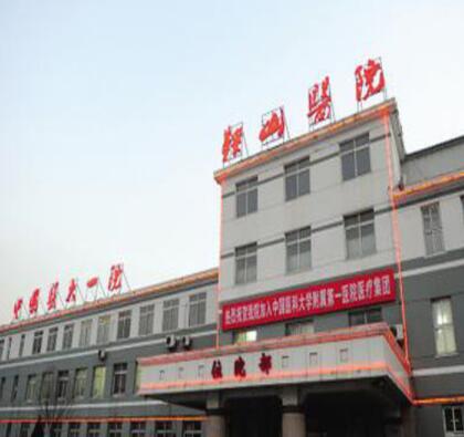 中國(guó)醫(yī)科大學(xué)附屬第一醫(yī)院鞍山醫(yī)院整形外科怎么樣？資料詳情