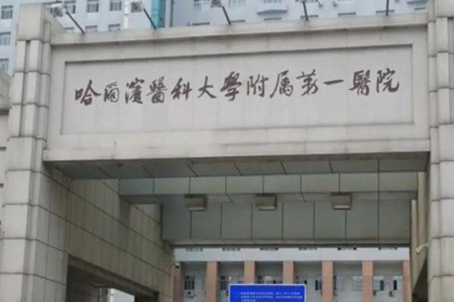 哈爾濱醫(yī)科大學(xué)附屬第一醫(yī)院植發(fā)費(fèi)用多少?于冬梅|遠(yuǎn)健醫(yī)生案例一覽