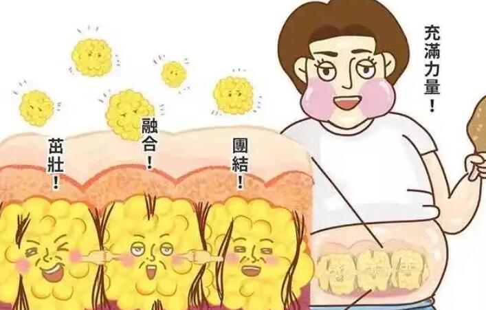 吸脂動(dòng)漫19.jpg