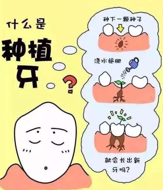 QQ截圖20211224104433.jpg