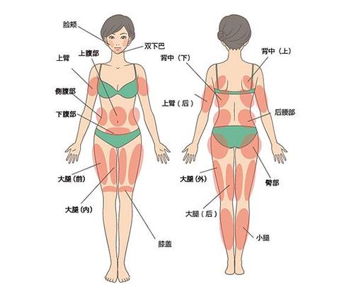 水動力吸脂減肥3.jpg