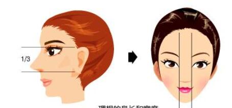 隆鼻動漫09.jpg