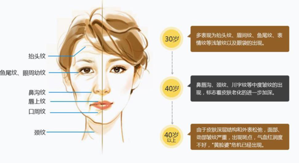除皺h3.jpg