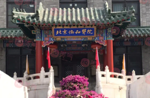 北京隆胸正規(guī)醫(yī)院排名，熱度飆升TOP榜網(wǎng)友認可度在線看！