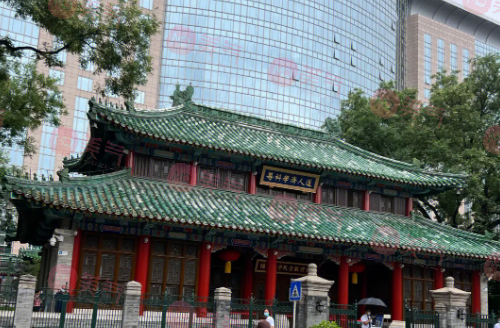 北京協(xié)和醫(yī)院整形外科價(jià)格表，醫(yī)生匯總_醫(yī)院簡(jiǎn)介